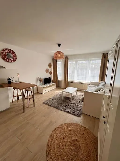 Апартаменты Flat Moderne Et Lumineux Брюссель 0*,  Бельгия